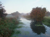 Autumn trees at Henham