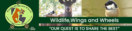 Wildlife Wings and Wheels