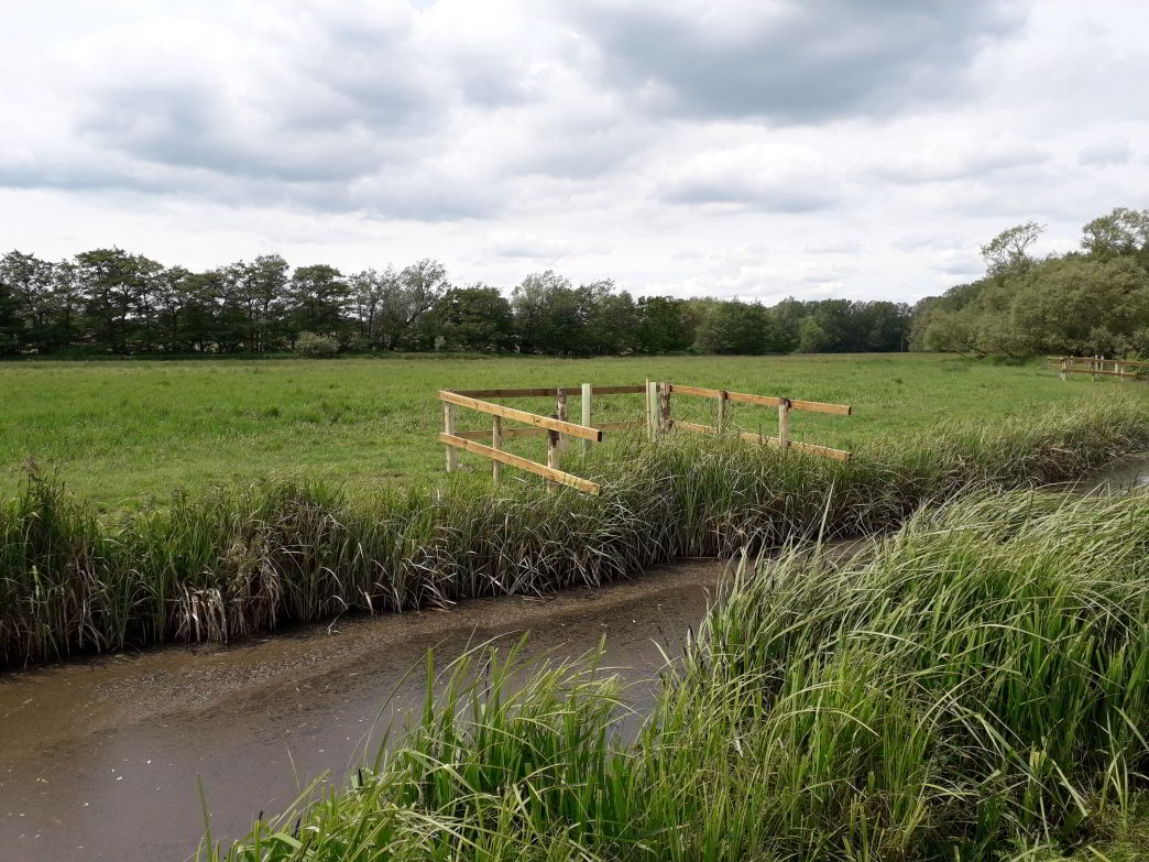 Tree Planting at Hill Farm Marshes