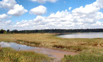 Blythburgh sits in some wonderful countryside