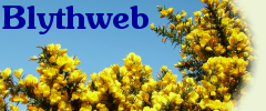 This can be a glorious time to take a refreshing break in the countryside and coastal area of north-east Suffolk. Golden gorse plus the blaze of autumn leaves as trees prepare for winter, all under a wide blue sky, make for memorable days.
