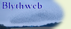 Our November image is of an impressive display of starlings near Southwold, gathering and circling the skies before settling for the night. Wonderful to watch. Many acres of land and reedbeds in the local coastal area are protected wildlife reserves.