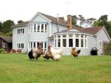 Hare Lodge Self Catering Bed & Breakfast