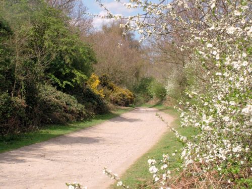 The property is accessed along an unmade lane from Dunwich. The cottage enjoys real peace and quiet. There is no traffic noise and the night skies are amazing as there is no light pollution at all.