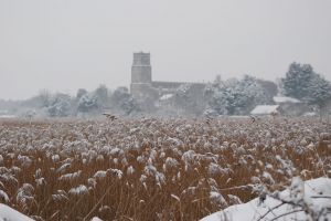 Blythburgh Church seen across snowy reeds